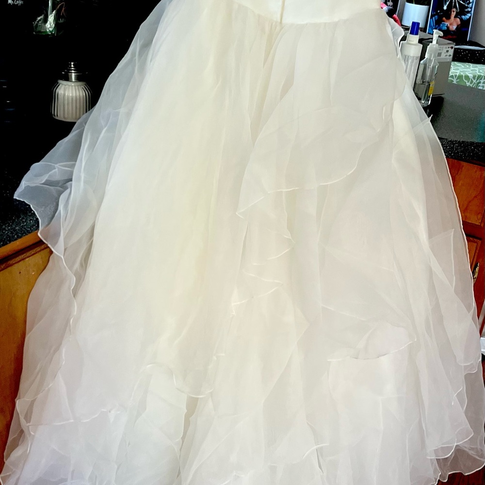 Size 14 David’s bridal wedding gown